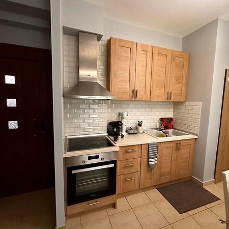 Elena'S Apartment 亚历山德鲁波利斯 外观 照片